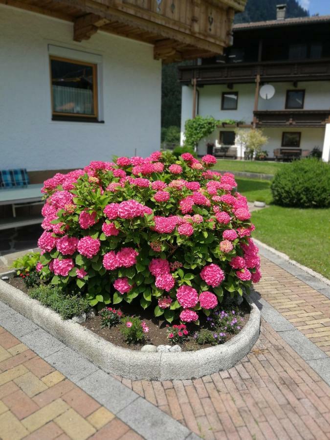Haus Wildauer Hotel Mayrhofen Exterior foto